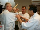 Hiko Ryu Taijutsu Szeminárium