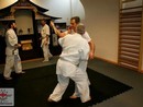 Hiko Ryu Taijutsu Szeminárium