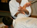 Hiko Ryu Taijutsu Szeminárium