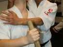 Hiko Ryu Taijutsu Szeminárium