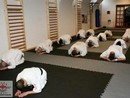 Hiko Ryu Taijutsu Szeminárium