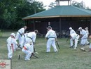 II. Nyári Seishin Edzőtábor