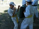 II. Nyári Seishin Edzőtábor