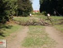 Seishin SE bográcsozás