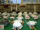 5 éves a Seishin Dojo