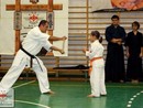 5 éves a Seishin Dojo