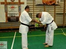 5 éves a Seishin Dojo