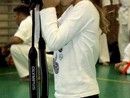 5 éves a Seishin Dojo