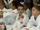 5 éves a Seishin Dojo