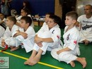 5 éves a Seishin Dojo
