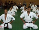 5 éves a Seishin Dojo