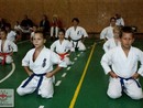 5 éves a Seishin Dojo