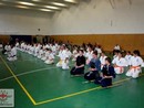 5 éves a Seishin Dojo