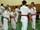 5 éves a Seishin Dojo