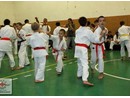 5 éves a Seishin Dojo
