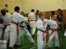 5 éves a Seishin Dojo