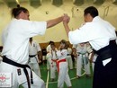 5 éves a Seishin Dojo