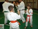 5 éves a Seishin Dojo