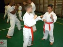 5 éves a Seishin Dojo