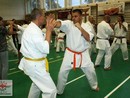 5 éves a Seishin Dojo