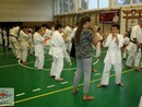 5 éves a Seishin Dojo
