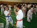 5 éves a Seishin Dojo