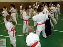 5 éves a Seishin Dojo