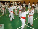 5 éves a Seishin Dojo
