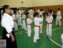 5 éves a Seishin Dojo