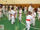5 éves a Seishin Dojo