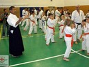 5 éves a Seishin Dojo