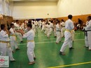 5 éves a Seishin Dojo