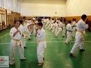 5 éves a Seishin Dojo