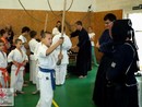 5 éves a Seishin Dojo