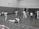 5 éves a Seishin Dojo