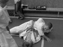 5 éves a Seishin Dojo