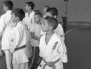 5 éves a Seishin Dojo