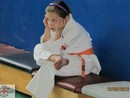 5 éves a Seishin Dojo