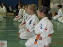 5 éves a Seishin Dojo