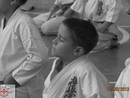 5 éves a Seishin Dojo