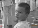 5 éves a Seishin Dojo