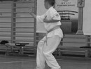 5 éves a Seishin Dojo
