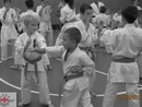 5 éves a Seishin Dojo