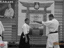 5 éves a Seishin Dojo
