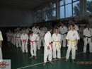 5 éves a Seishin Dojo