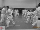 5 éves a Seishin Dojo