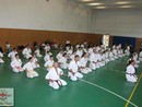 5 éves a Seishin Dojo