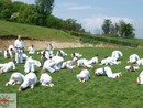 Tavaszi Edzőtábor