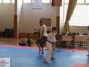 Tadashii Kupa