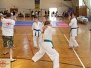 Tadashii Kupa